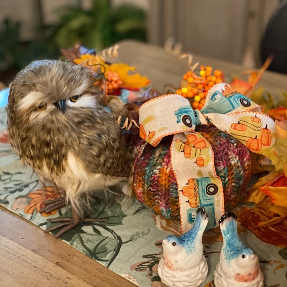 Bargain basement prices 🎉 - Picture 5 of 7